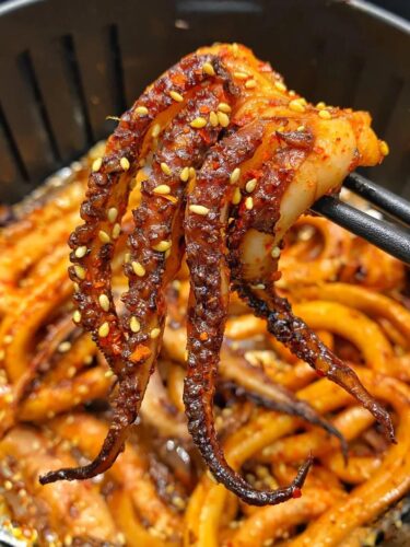 Air Fryer photo review